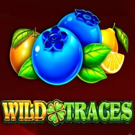 Wild Traces logo by Amusnet Interactive at Monsterwin Casino